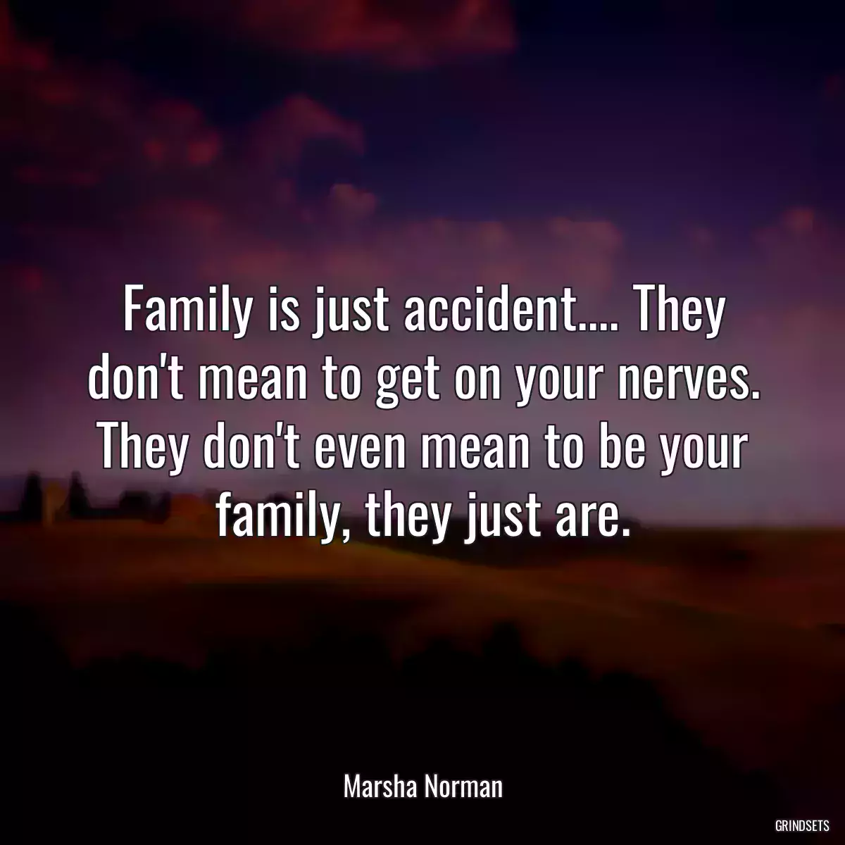 Family is just accident.... They don\'t mean to get on your nerves. They don\'t even mean to be your family, they just are.