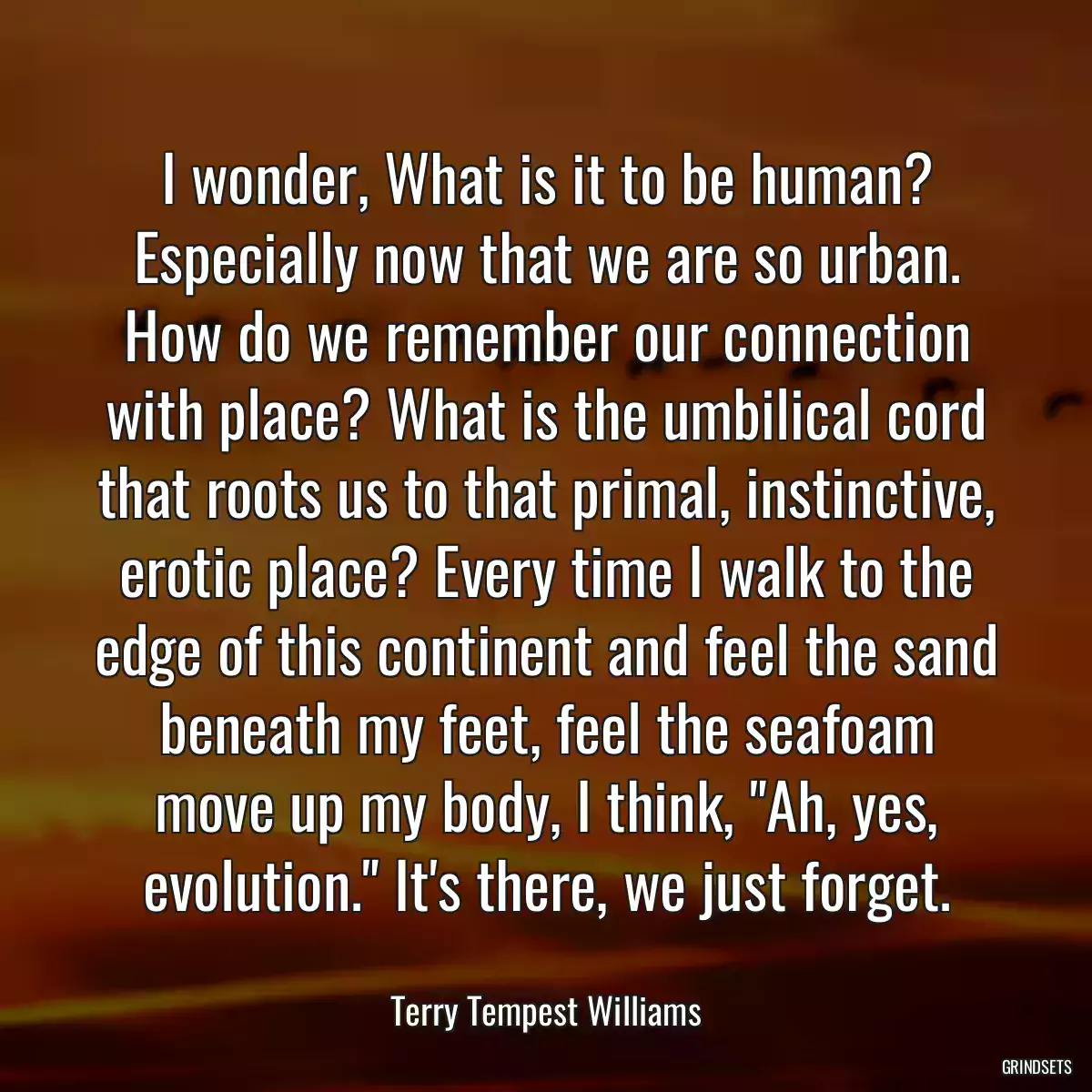 I wonder, What is it to be human? Especially now that we are so urban. How do we remember our connection with place? What is the umbilical cord that roots us to that primal, instinctive, erotic place? Every time I walk to the edge of this continent and feel the sand beneath my feet, feel the seafoam move up my body, I think, \