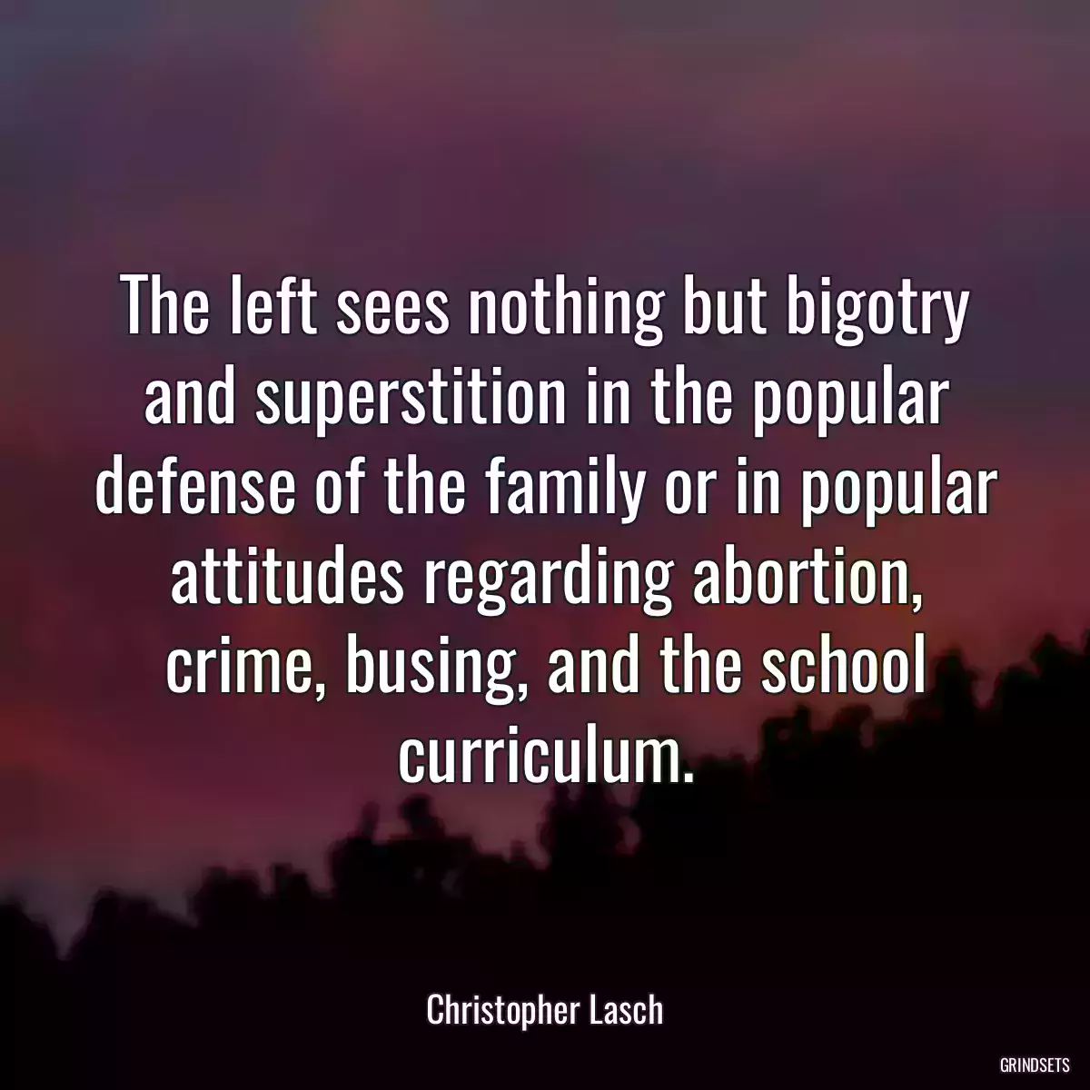 The left sees nothing but bigotry and superstition in the popular defense of the family or in popular attitudes regarding abortion, crime, busing, and the school curriculum.