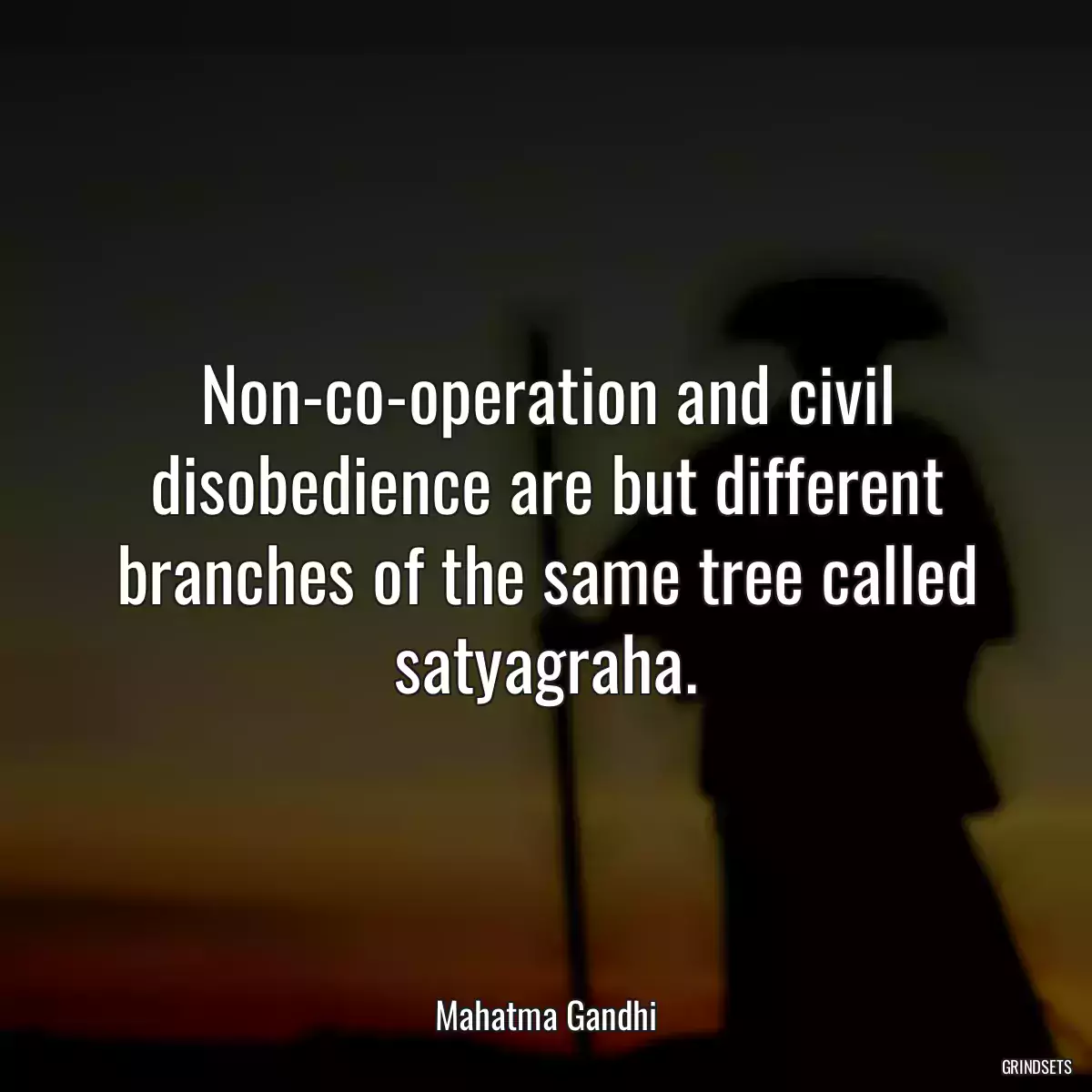 Non-co-operation and civil disobedience are but different branches of the same tree called satyagraha.