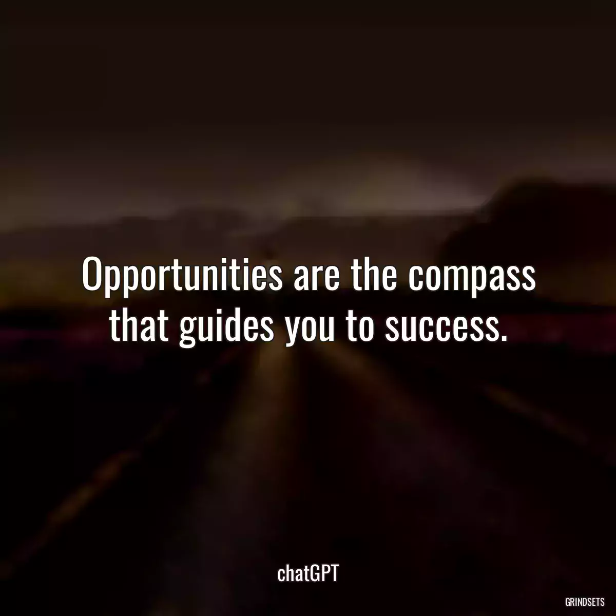 Opportunities are the compass that guides you to success.