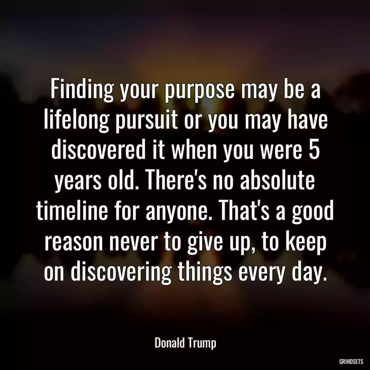 Finding your purpose may be a lifelong pursuit or you may have discovered it when you were 5 years old. There\'s no absolute timeline for anyone. That\'s a good reason never to give up, to keep on discovering things every day.