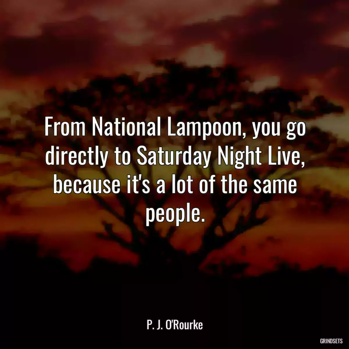 From National Lampoon, you go directly to Saturday Night Live, because it\'s a lot of the same people.