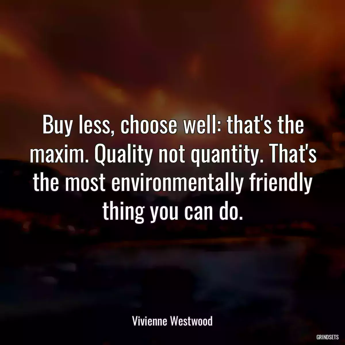 Buy less, choose well: that\'s the maxim. Quality not quantity. That\'s the most environmentally friendly thing you can do.