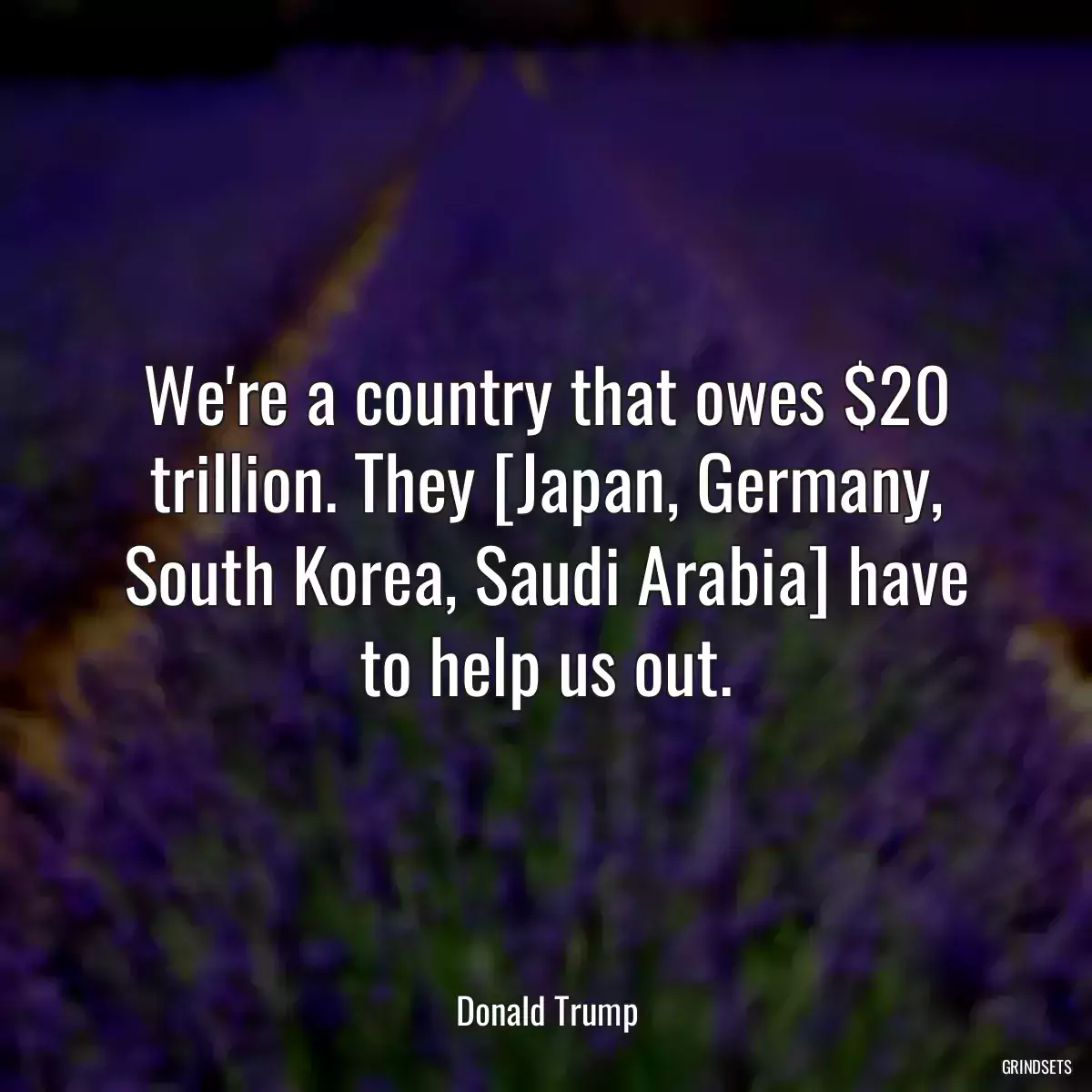 We\'re a country that owes $20 trillion. They [Japan, Germany, South Korea, Saudi Arabia] have to help us out.