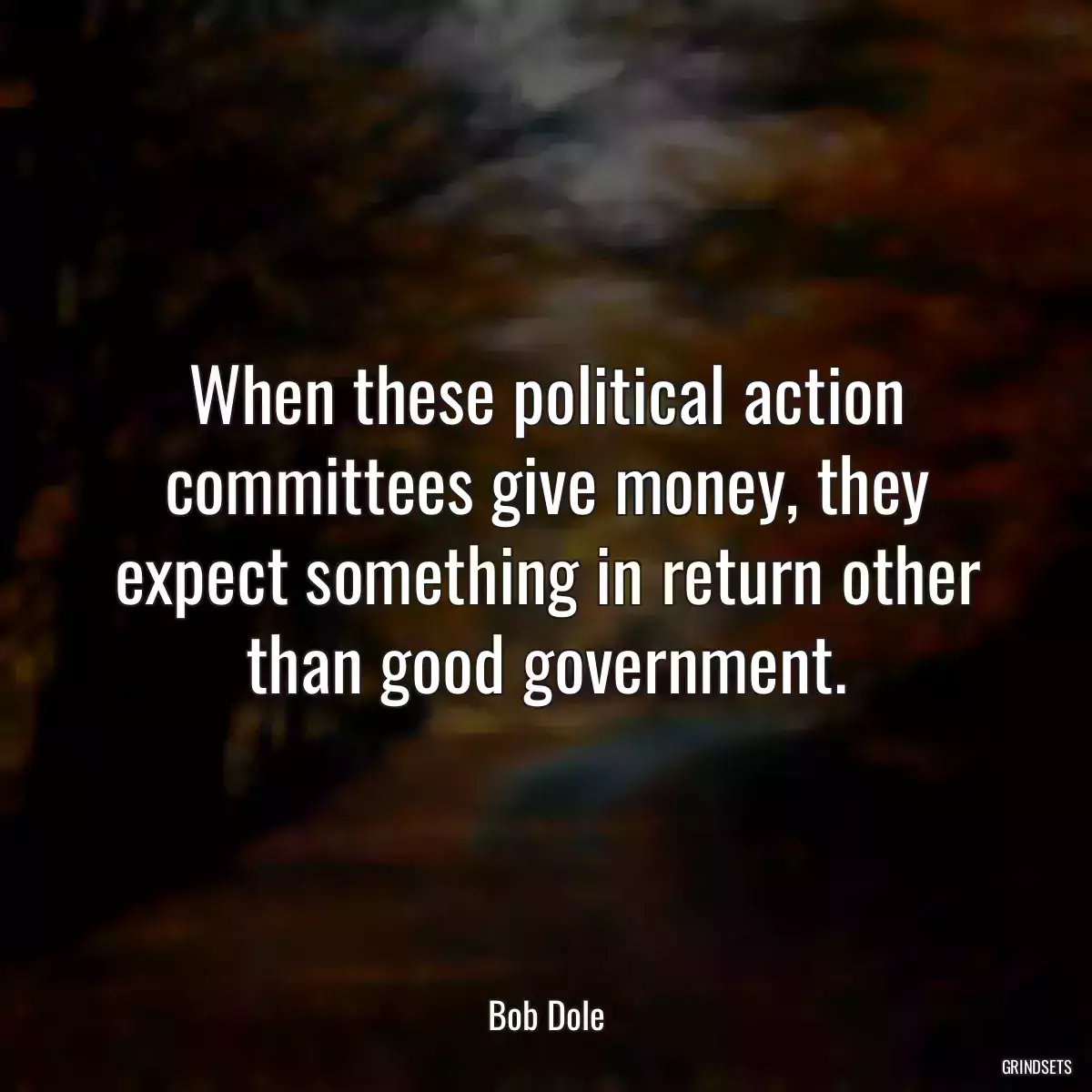 When these political action committees give money, they expect something in return other than good government.