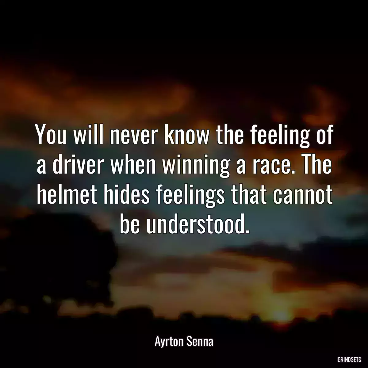 You will never know the feeling of a driver when winning a race. The helmet hides feelings that cannot be understood.