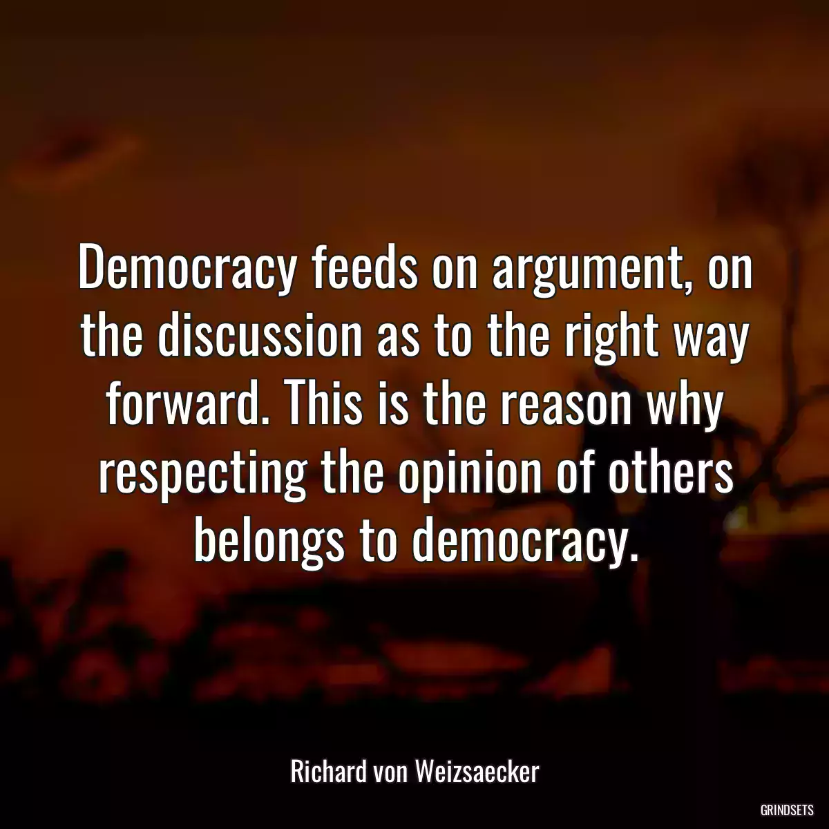 Democracy feeds on argument, on the discussion as to the right way forward. This is the reason why respecting the opinion of others belongs to democracy.