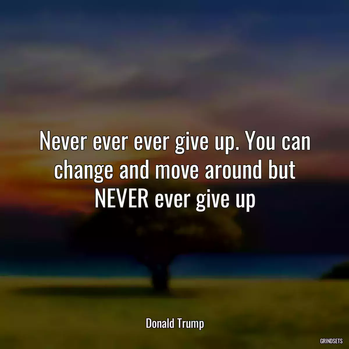 Never ever ever give up. You can change and move around but NEVER ever give up