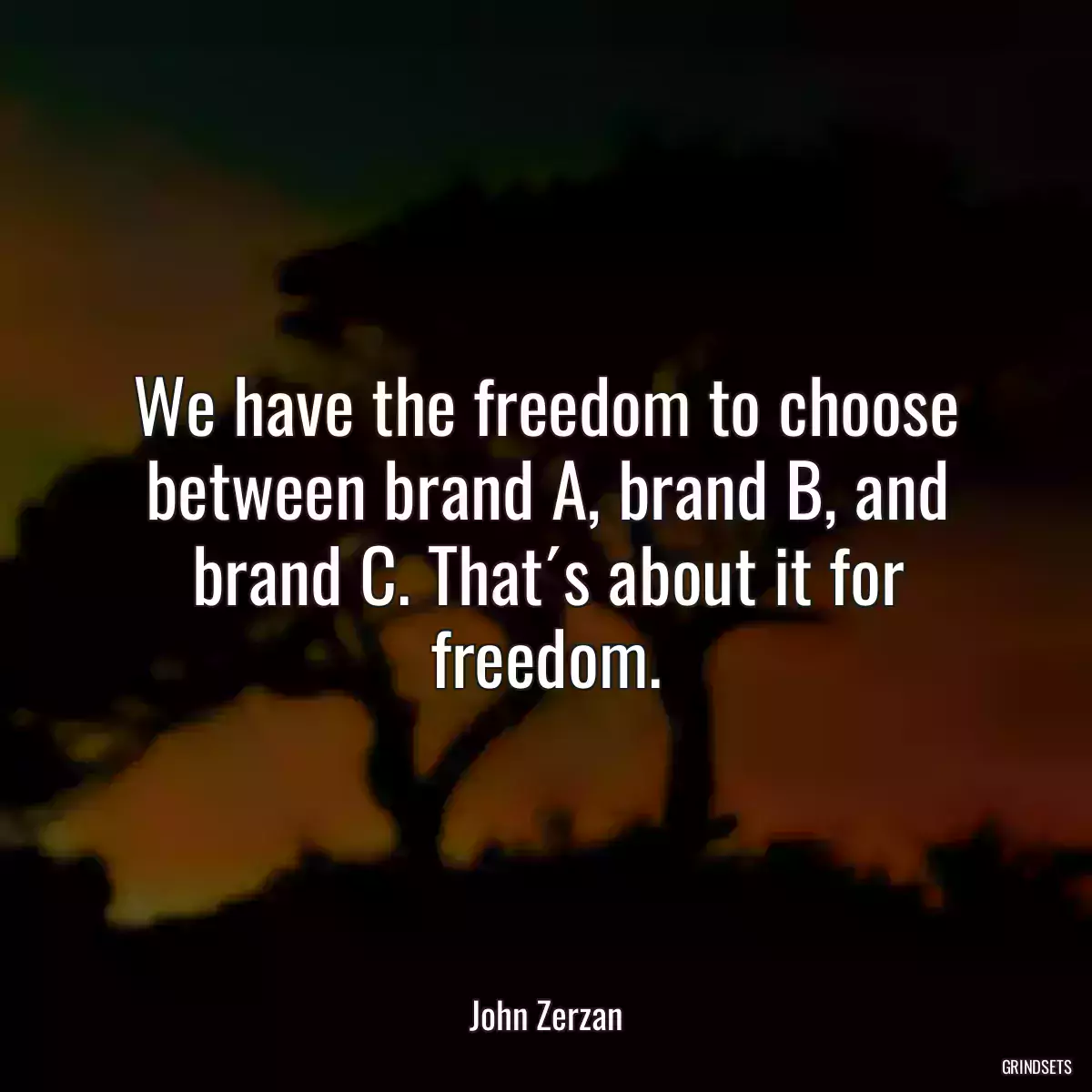 We have the freedom to choose between brand A, brand B, and brand C. That´s about it for freedom.