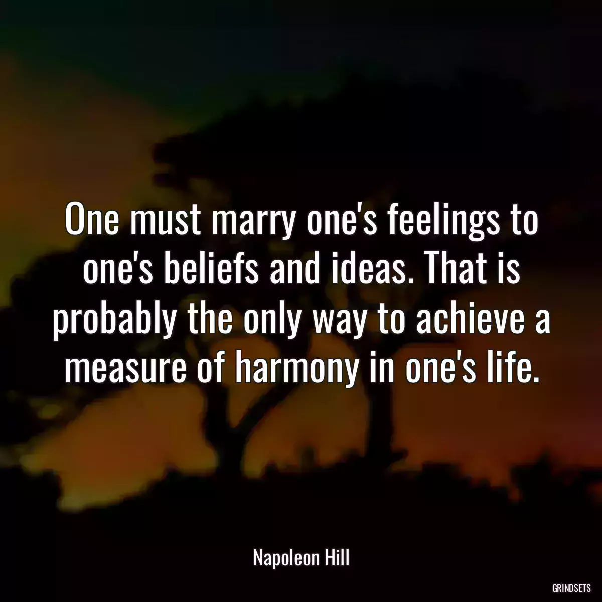 One must marry one\'s feelings to one\'s beliefs and ideas. That is probably the only way to achieve a measure of harmony in one\'s life.