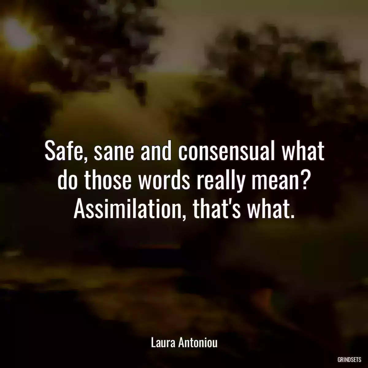 Safe, sane and consensual what do those words really mean? Assimilation, that\'s what.