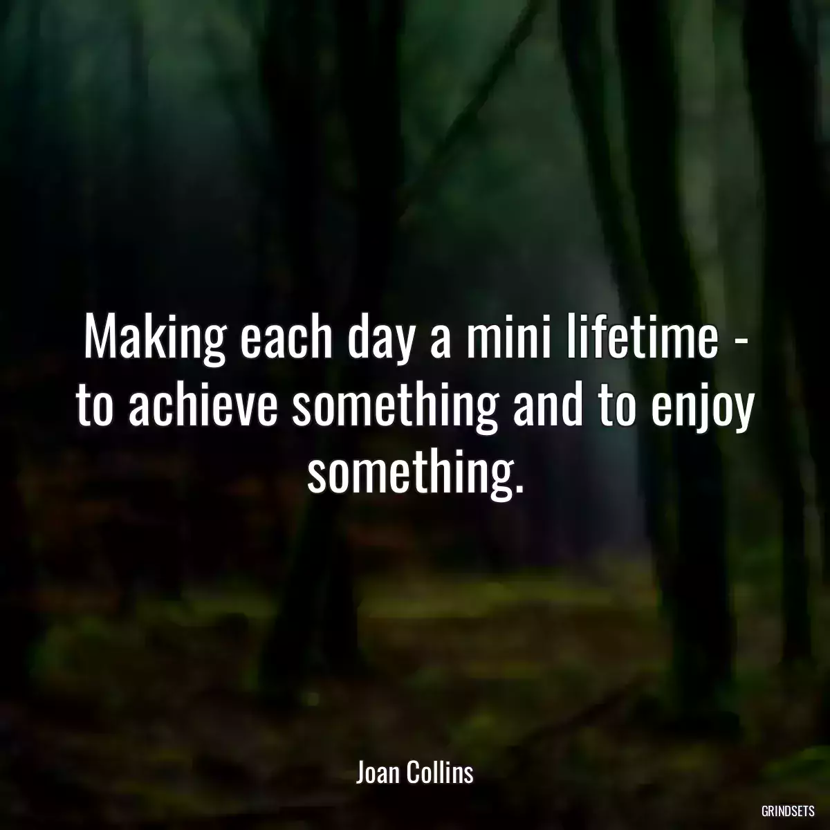 Making each day a mini lifetime - to achieve something and to enjoy something.