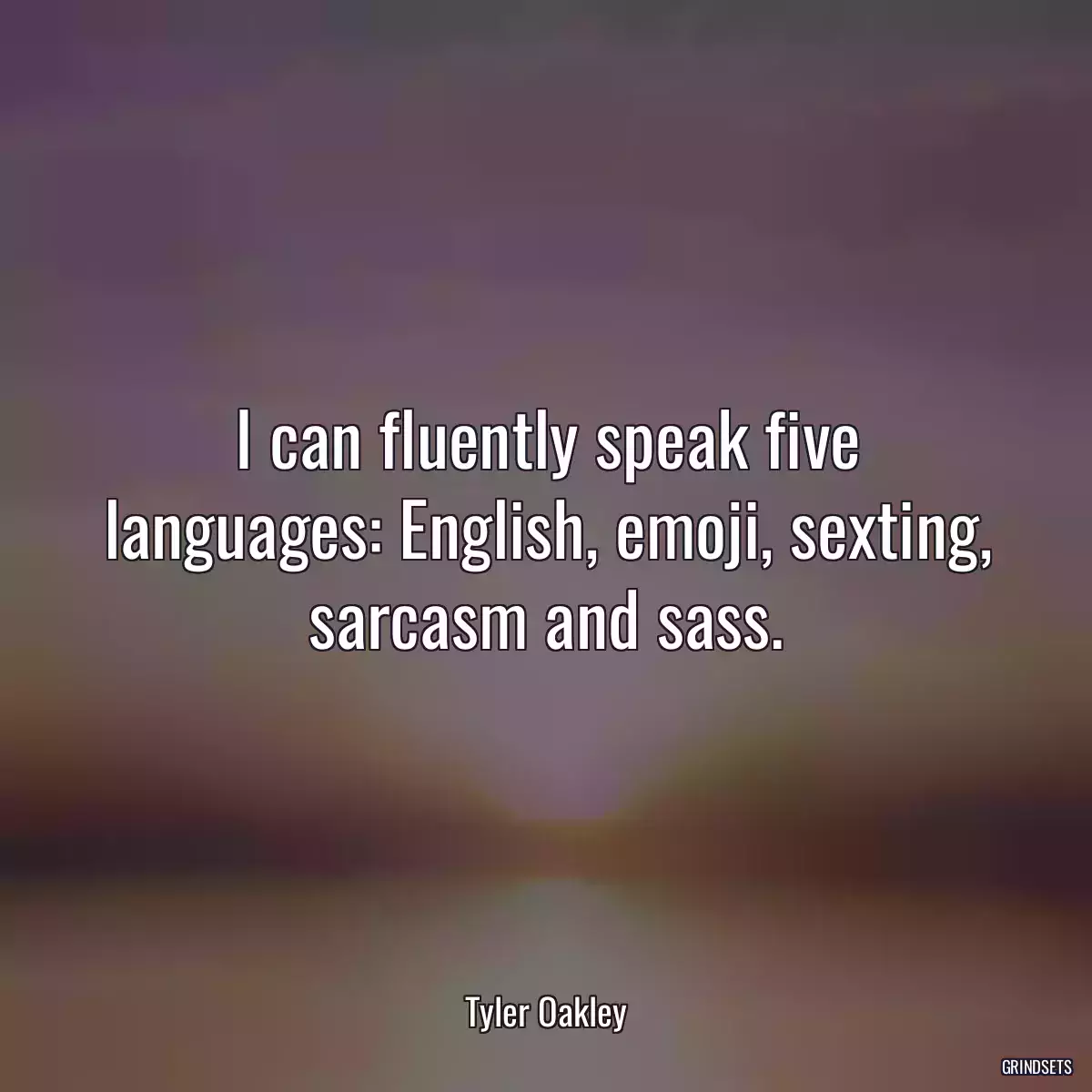 I can fluently speak five languages: English, emoji, sexting, sarcasm and sass.