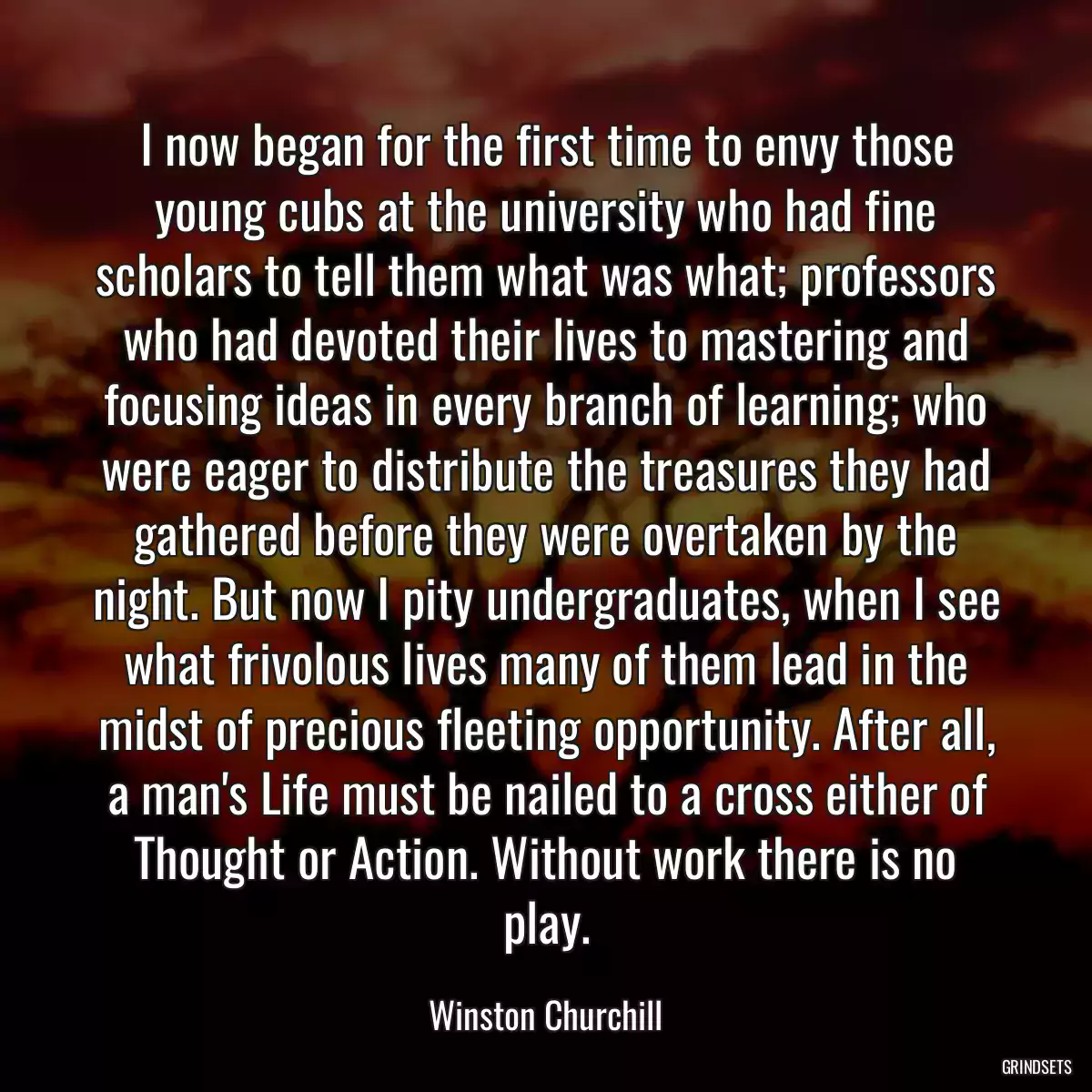 I now began for the first time to envy those young cubs at the university who had fine scholars to tell them what was what; professors who had devoted their lives to mastering and focusing ideas in every branch of learning; who were eager to distribute the treasures they had gathered before they were overtaken by the night. But now I pity undergraduates, when I see what frivolous lives many of them lead in the midst of precious fleeting opportunity. After all, a man\'s Life must be nailed to a cross either of Thought or Action. Without work there is no play.