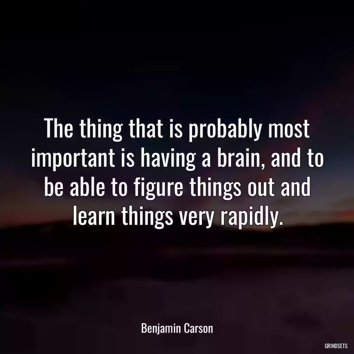 The thing that is probably most important is having a brain, and to be able to figure things out and learn things very rapidly.