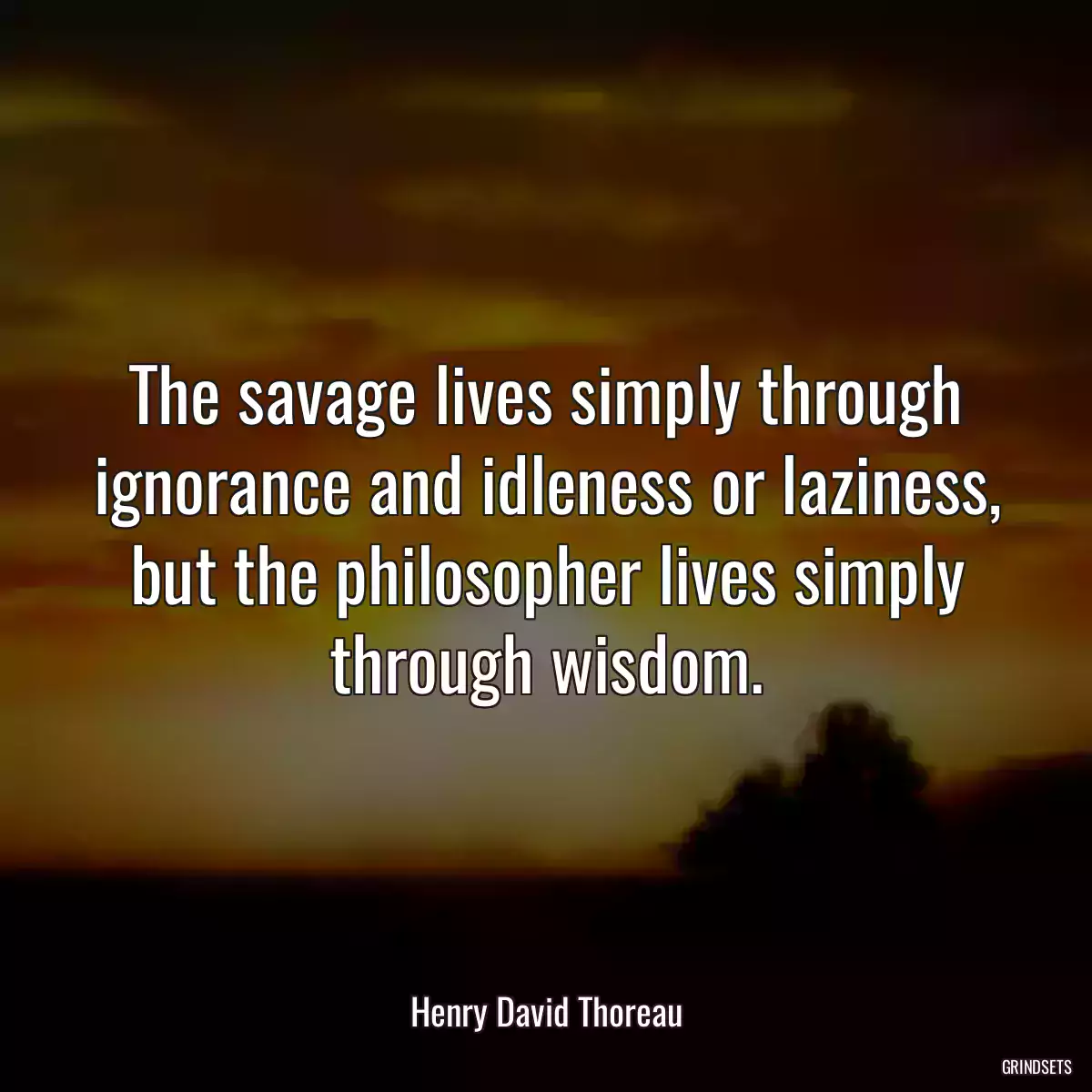 The savage lives simply through ignorance and idleness or laziness, but the philosopher lives simply through wisdom.