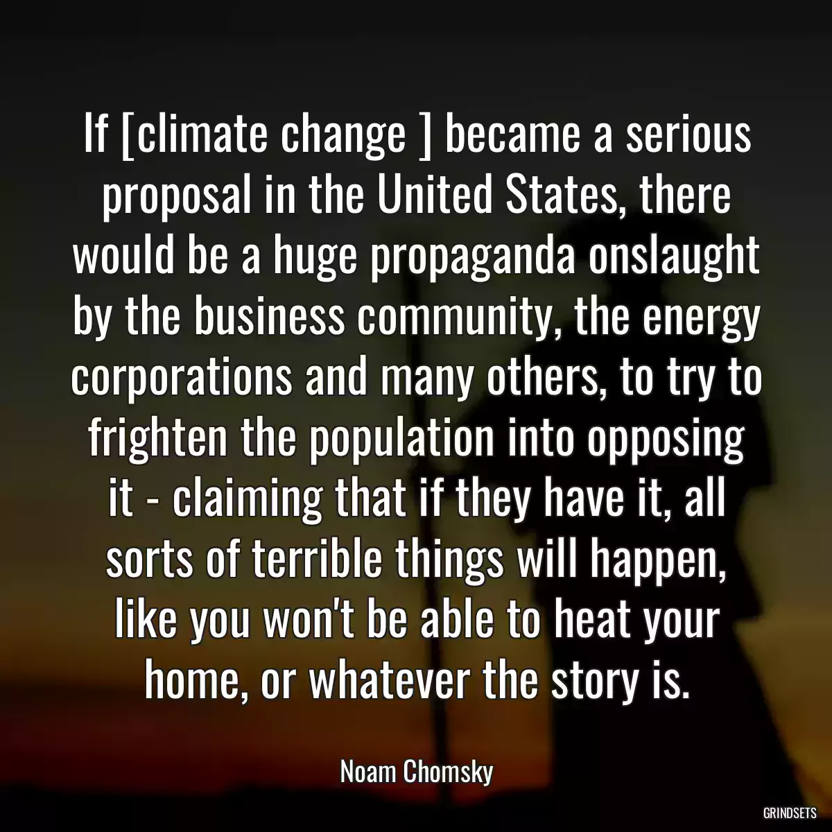 If [climate change ] became a serious proposal in the United States, there would be a huge propaganda onslaught by the business community, the energy corporations and many others, to try to frighten the population into opposing it - claiming that if they have it, all sorts of terrible things will happen, like you won\'t be able to heat your home, or whatever the story is.