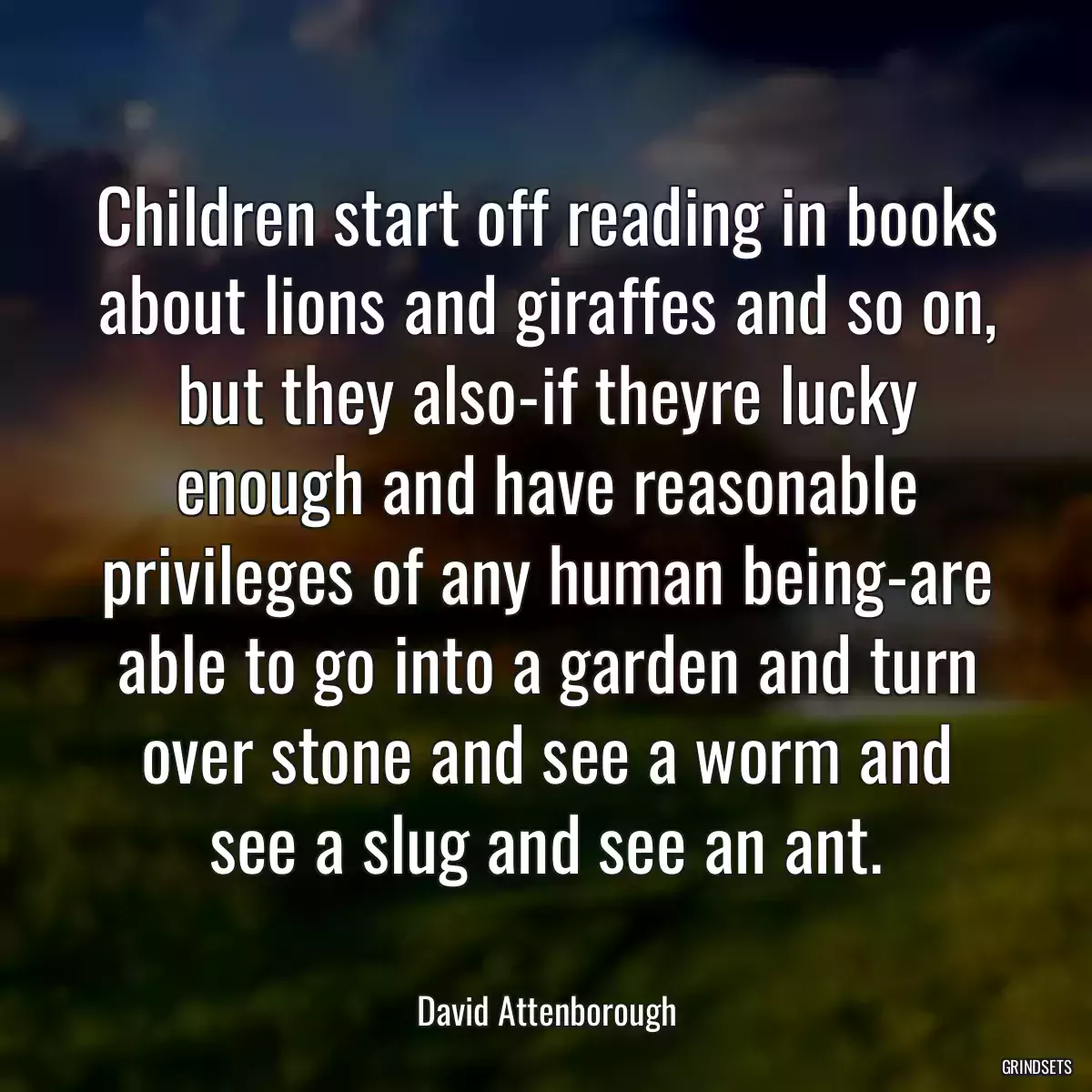 Children start off reading in books about lions and giraffes and so on, but they also-if theyre lucky enough and have reasonable privileges of any human being-are able to go into a garden and turn over stone and see a worm and see a slug and see an ant.