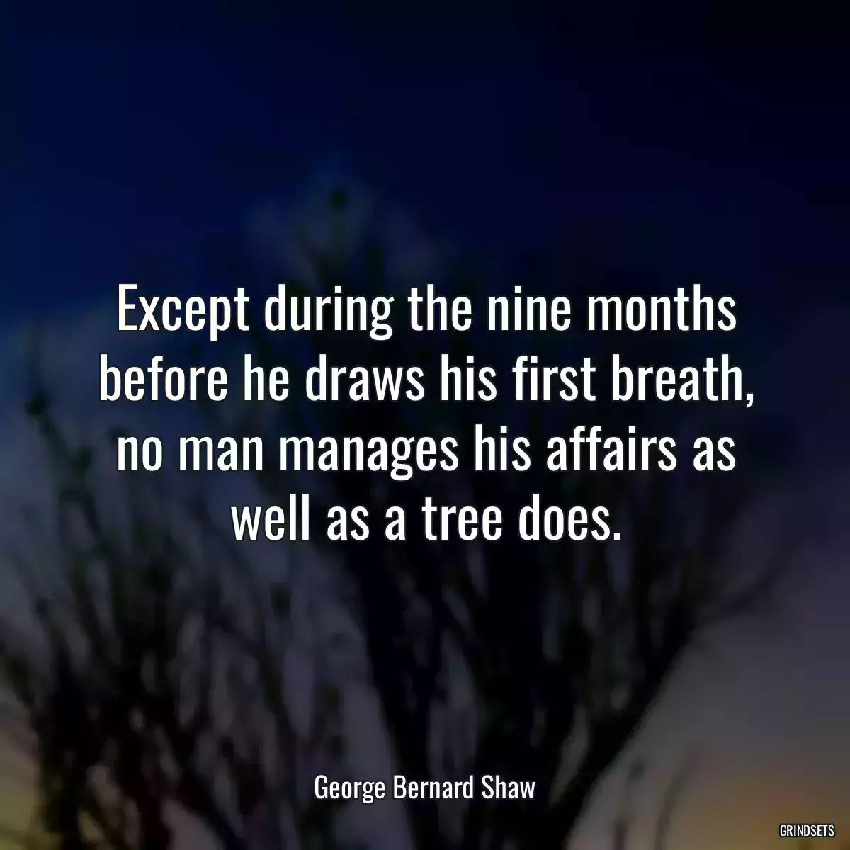 Except during the nine months before he draws his first breath, no man manages his affairs as well as a tree does.