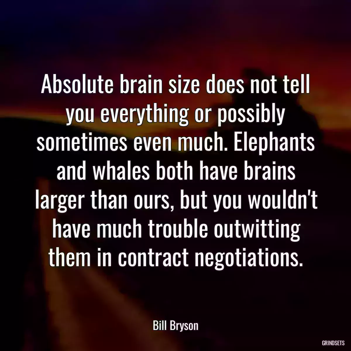 Absolute brain size does not tell you everything or possibly sometimes even much. Elephants and whales both have brains larger than ours, but you wouldn\'t have much trouble outwitting them in contract negotiations.