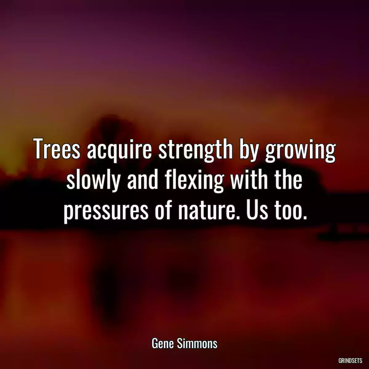 Trees acquire strength by growing slowly and flexing with the pressures of nature. Us too.