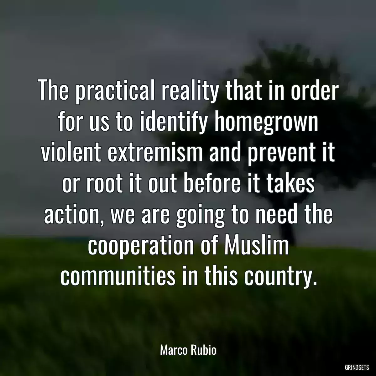 The practical reality that in order for us to identify homegrown violent extremism and prevent it or root it out before it takes action, we are going to need the cooperation of Muslim communities in this country.