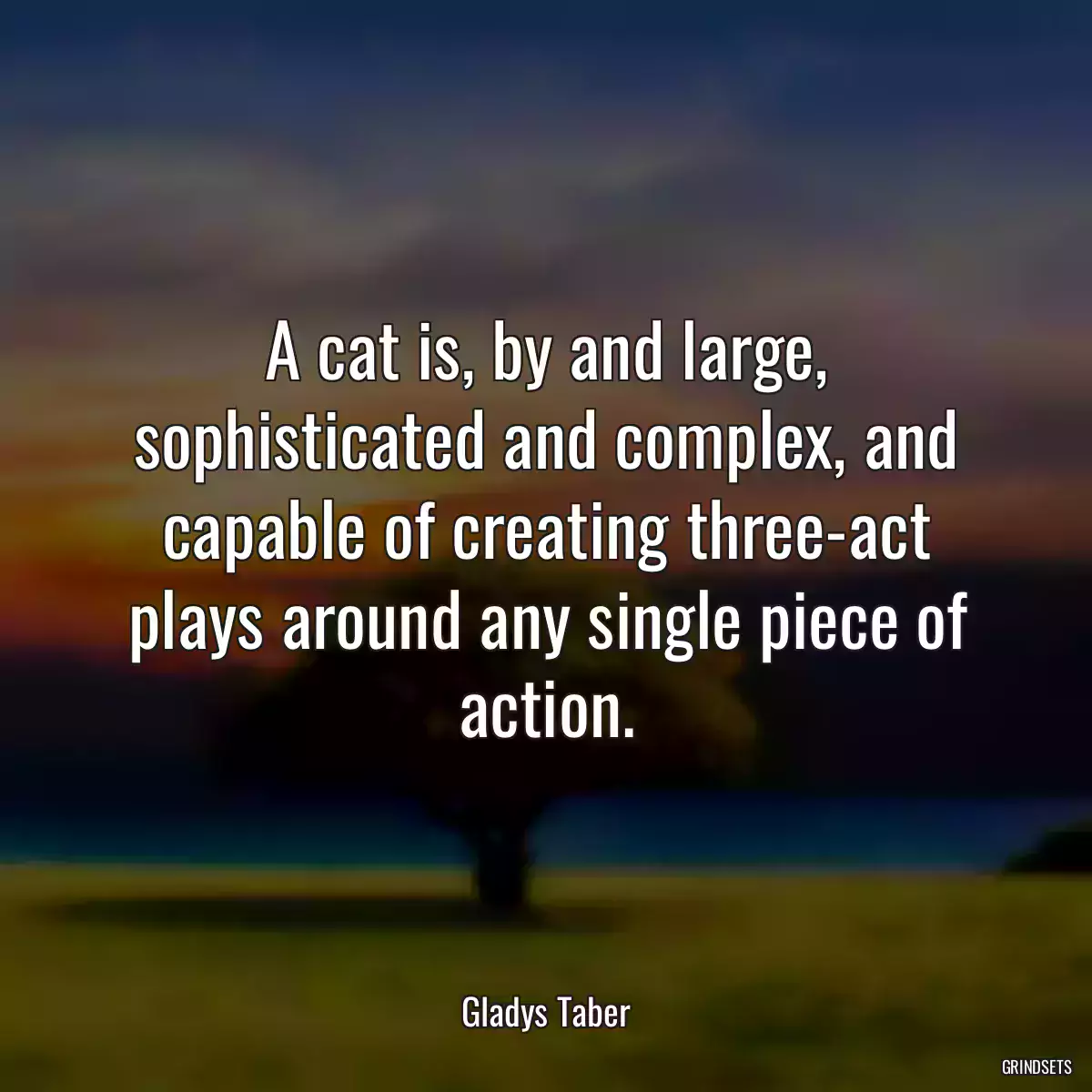 A cat is, by and large, sophisticated and complex, and capable of creating three-act plays around any single piece of action.