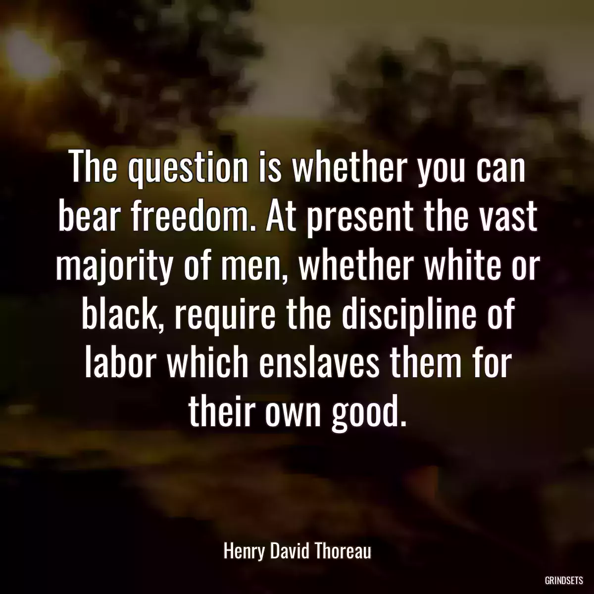 The question is whether you can bear freedom. At present the vast majority of men, whether white or black, require the discipline of labor which enslaves them for their own good.