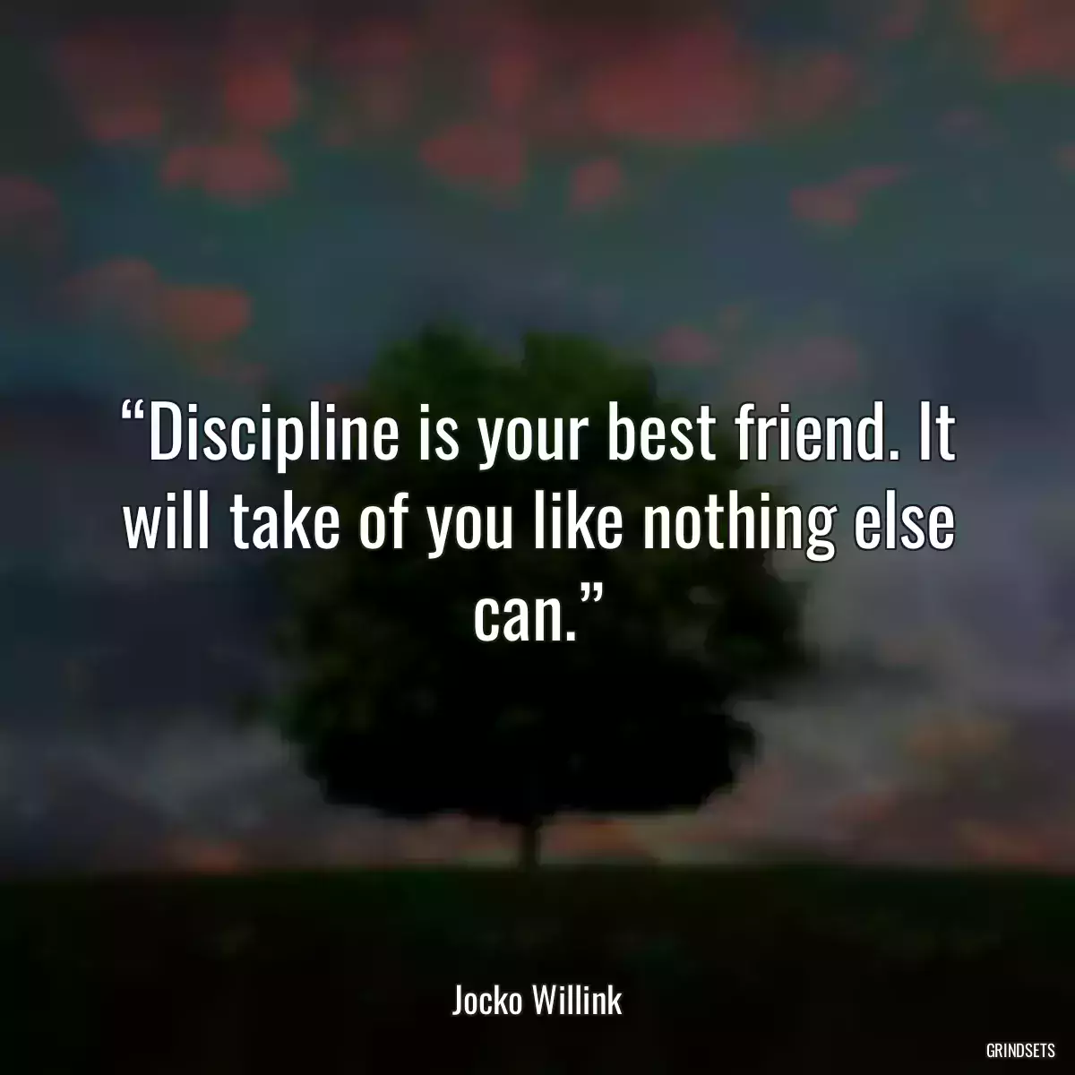 “Discipline is your best friend. It will take of you like nothing else can.”