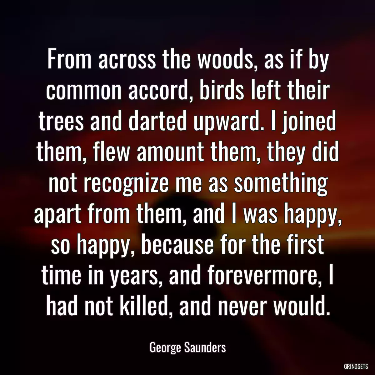 From across the woods, as if by common accord, birds left their trees and darted upward. I joined them, flew amount them, they did not recognize me as something apart from them, and I was happy, so happy, because for the first time in years, and forevermore, I had not killed, and never would.