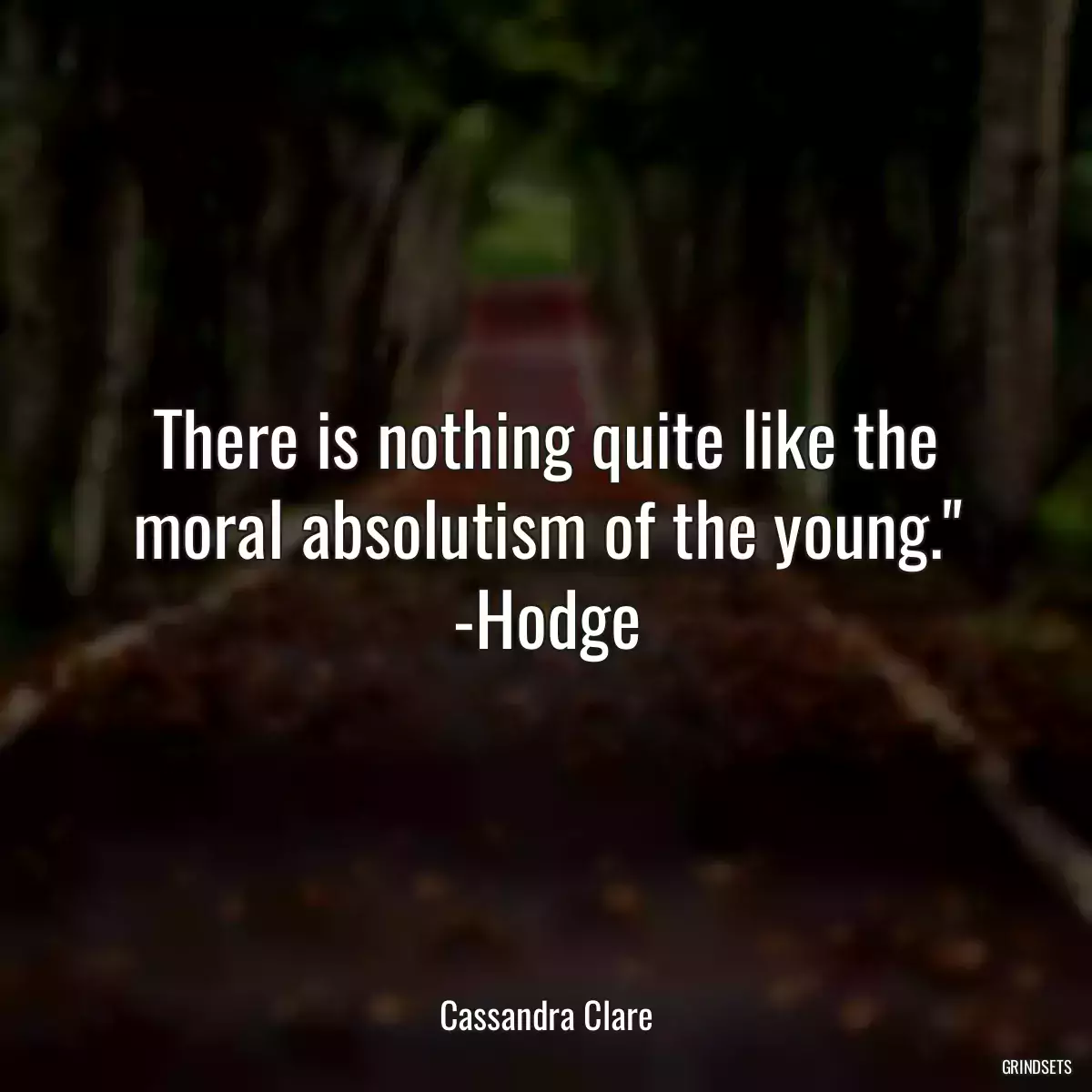 There is nothing quite like the moral absolutism of the young.\