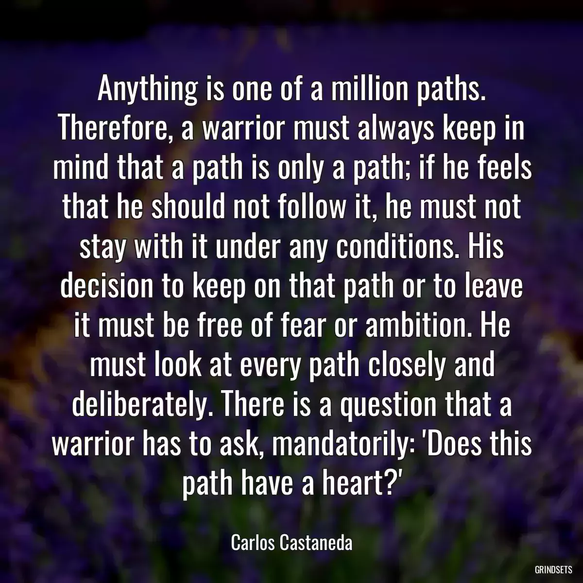 Anything is one of a million paths. Therefore, a warrior must always keep in mind that a path is only a path; if he feels that he should not follow it, he must not stay with it under any conditions. His decision to keep on that path or to leave it must be free of fear or ambition. He must look at every path closely and deliberately. There is a question that a warrior has to ask, mandatorily: \'Does this path have a heart?\'