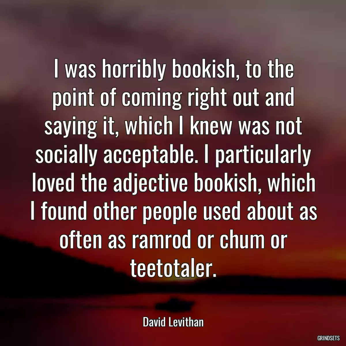 I was horribly bookish, to the point of coming right out and saying it, which I knew was not socially acceptable. I particularly loved the adjective bookish, which I found other people used about as often as ramrod or chum or teetotaler.