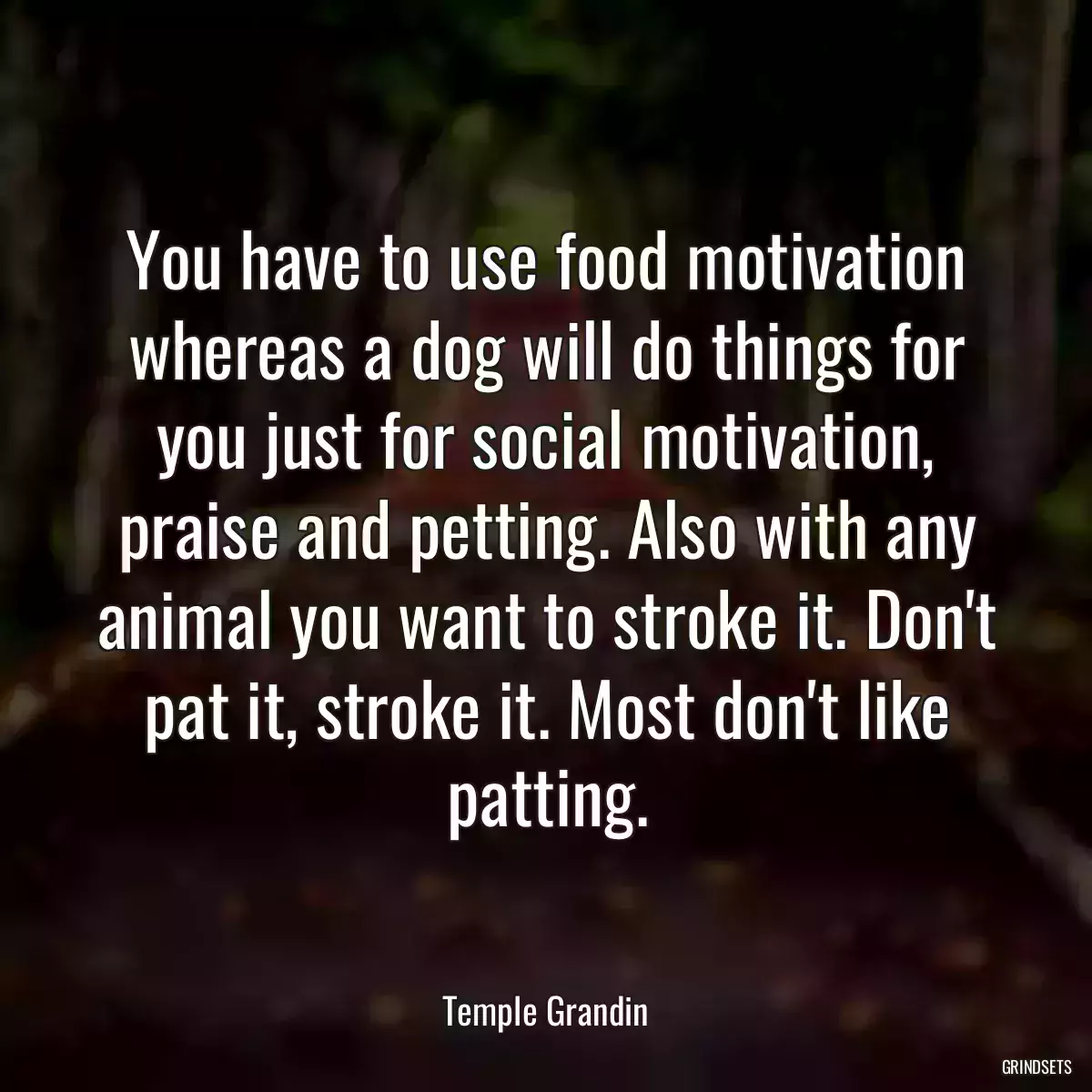 You have to use food motivation whereas a dog will do things for you just for social motivation, praise and petting. Also with any animal you want to stroke it. Don\'t pat it, stroke it. Most don\'t like patting.