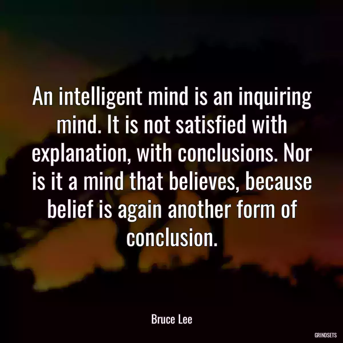 An intelligent mind is an inquiring mind. It is not satisfied with explanation, with conclusions. Nor is it a mind that believes, because belief is again another form of conclusion.