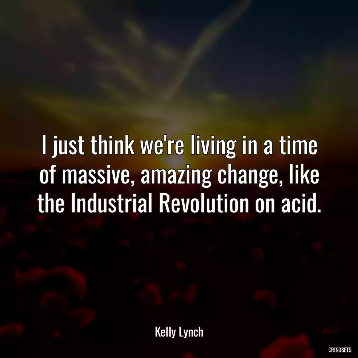 I just think we\'re living in a time of massive, amazing change, like the Industrial Revolution on acid.