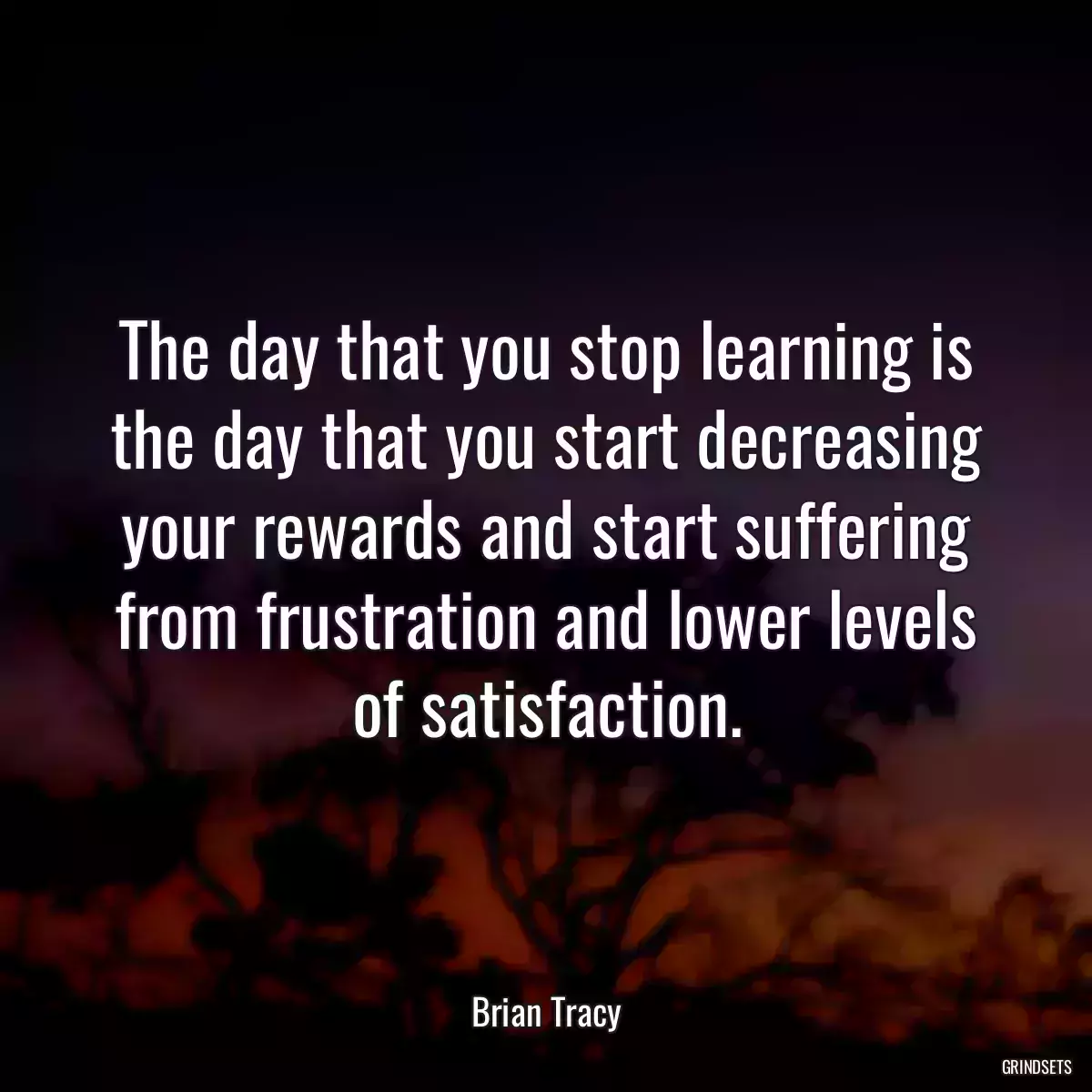 The day that you stop learning is the day that you start decreasing your rewards and start suffering from frustration and lower levels of satisfaction.