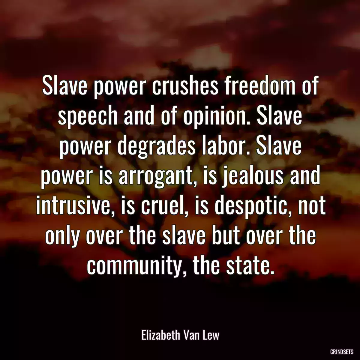 Slave power crushes freedom of speech and of opinion. Slave power degrades labor. Slave power is arrogant, is jealous and intrusive, is cruel, is despotic, not only over the slave but over the community, the state.