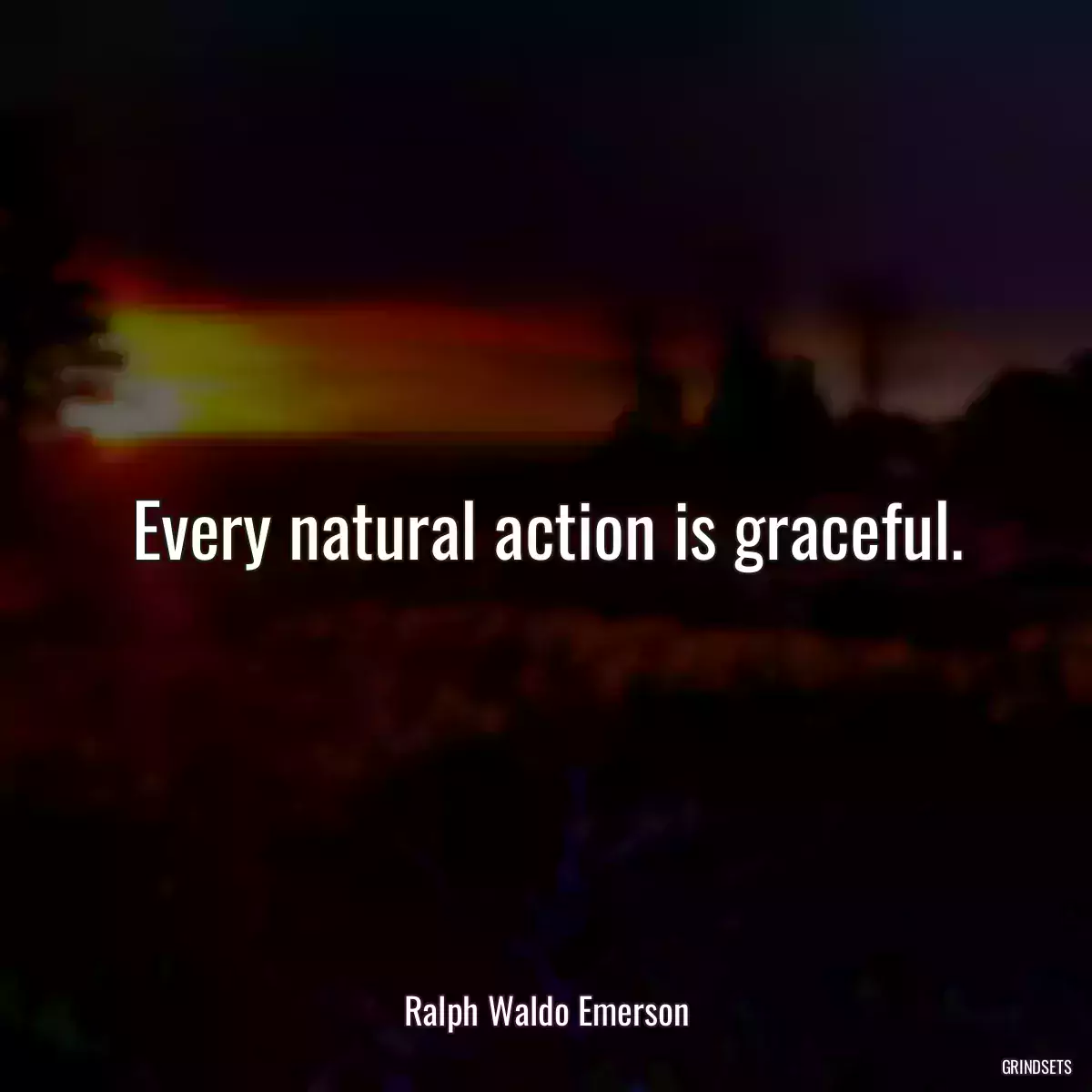 Every natural action is graceful.