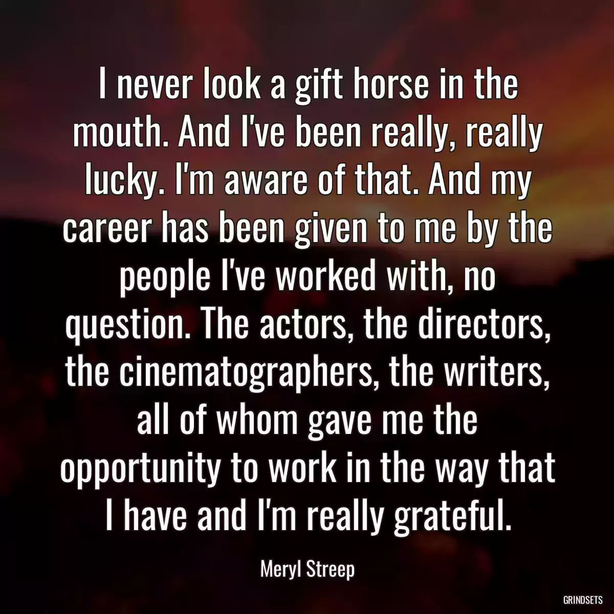 I never look a gift horse in the mouth. And I\'ve been really, really lucky. I\'m aware of that. And my career has been given to me by the people I\'ve worked with, no question. The actors, the directors, the cinematographers, the writers, all of whom gave me the opportunity to work in the way that I have and I\'m really grateful.