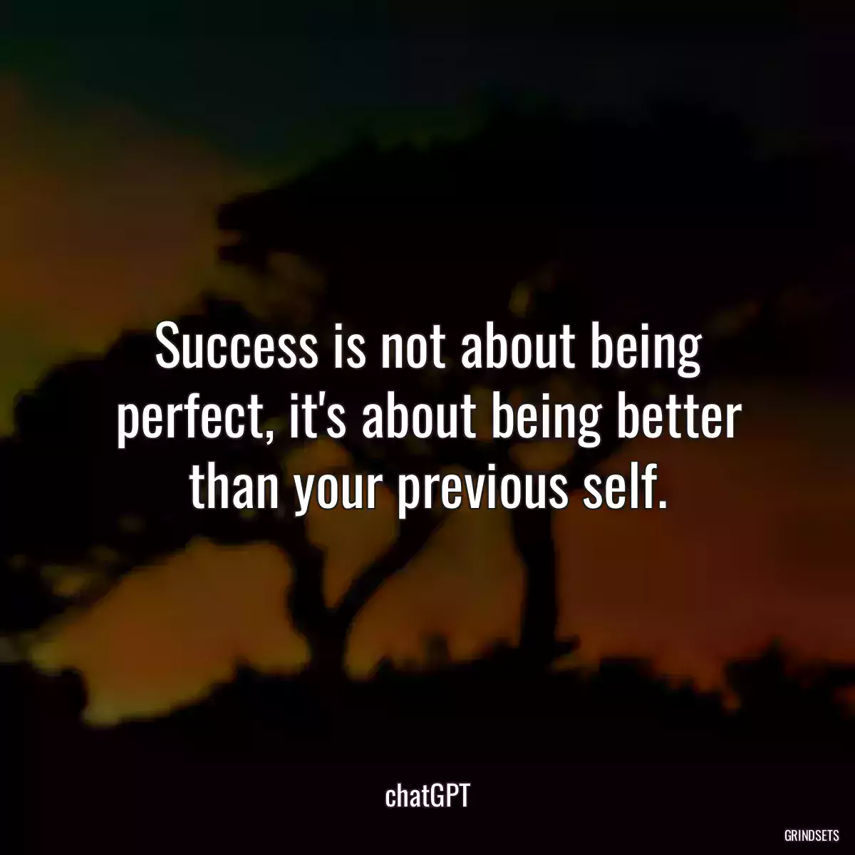 Success is not about being perfect, it\'s about being better than your previous self.
