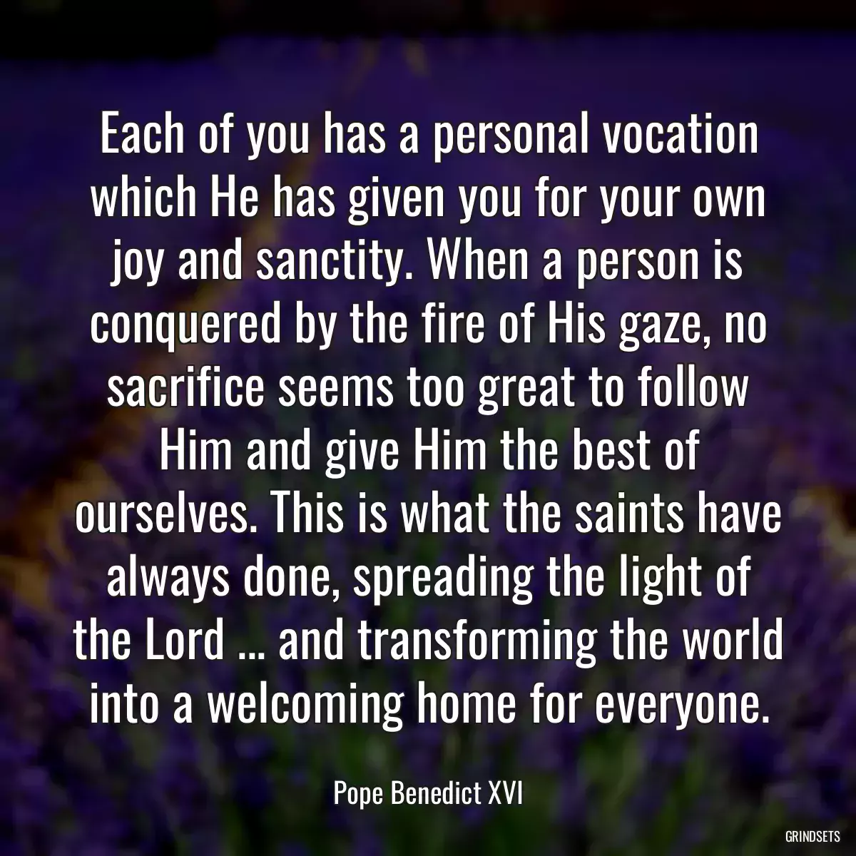 Each of you has a personal vocation which He has given you for your own joy and sanctity. When a person is conquered by the fire of His gaze, no sacrifice seems too great to follow Him and give Him the best of ourselves. This is what the saints have always done, spreading the light of the Lord ... and transforming the world into a welcoming home for everyone.