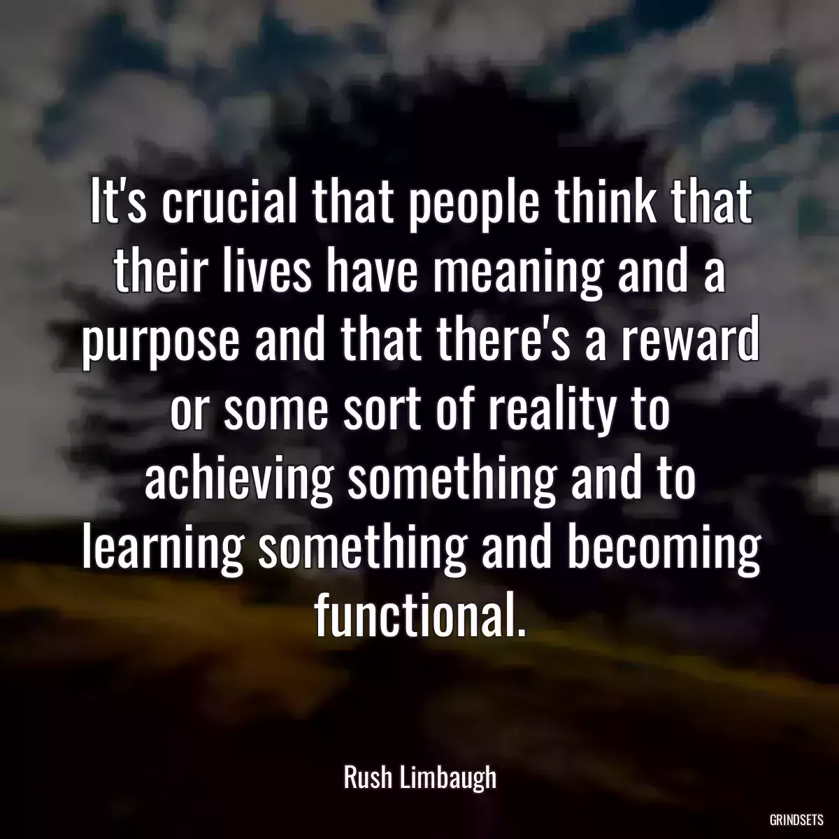 It\'s crucial that people think that their lives have meaning and a purpose and that there\'s a reward or some sort of reality to achieving something and to learning something and becoming functional.