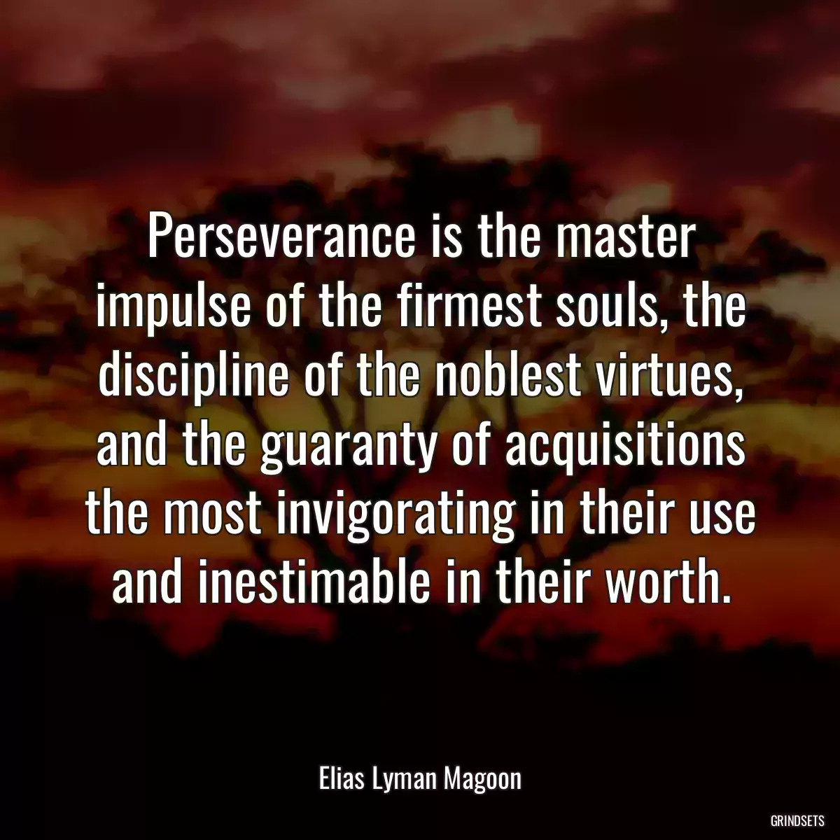 Perseverance is the master impulse of the firmest souls, the discipline of the noblest virtues, and the guaranty of acquisitions the most invigorating in their use and inestimable in their worth.