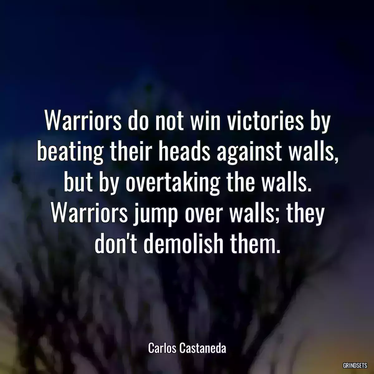Warriors do not win victories by beating their heads against walls, but by overtaking the walls. Warriors jump over walls; they don\'t demolish them.