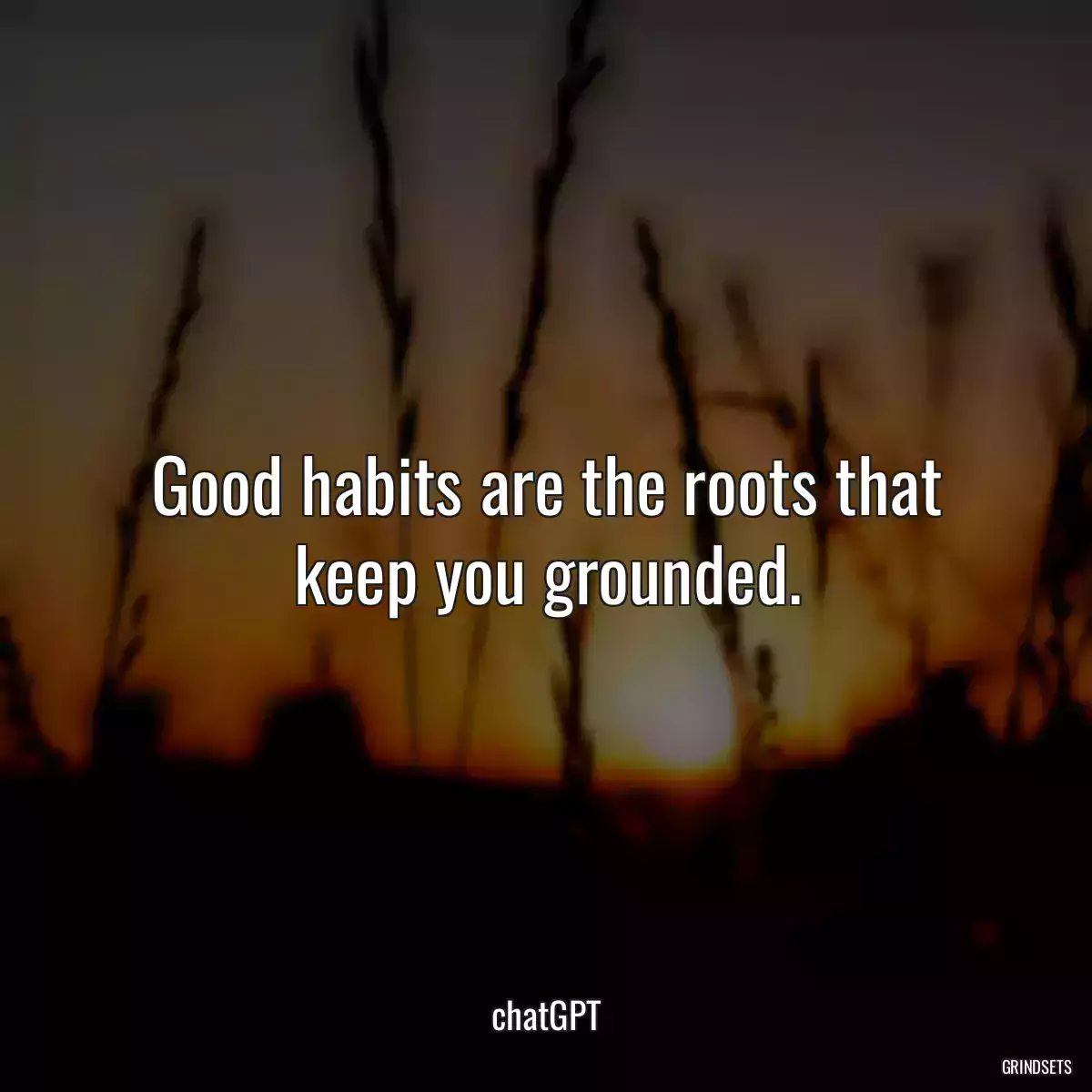 Good habits are the roots that keep you grounded.