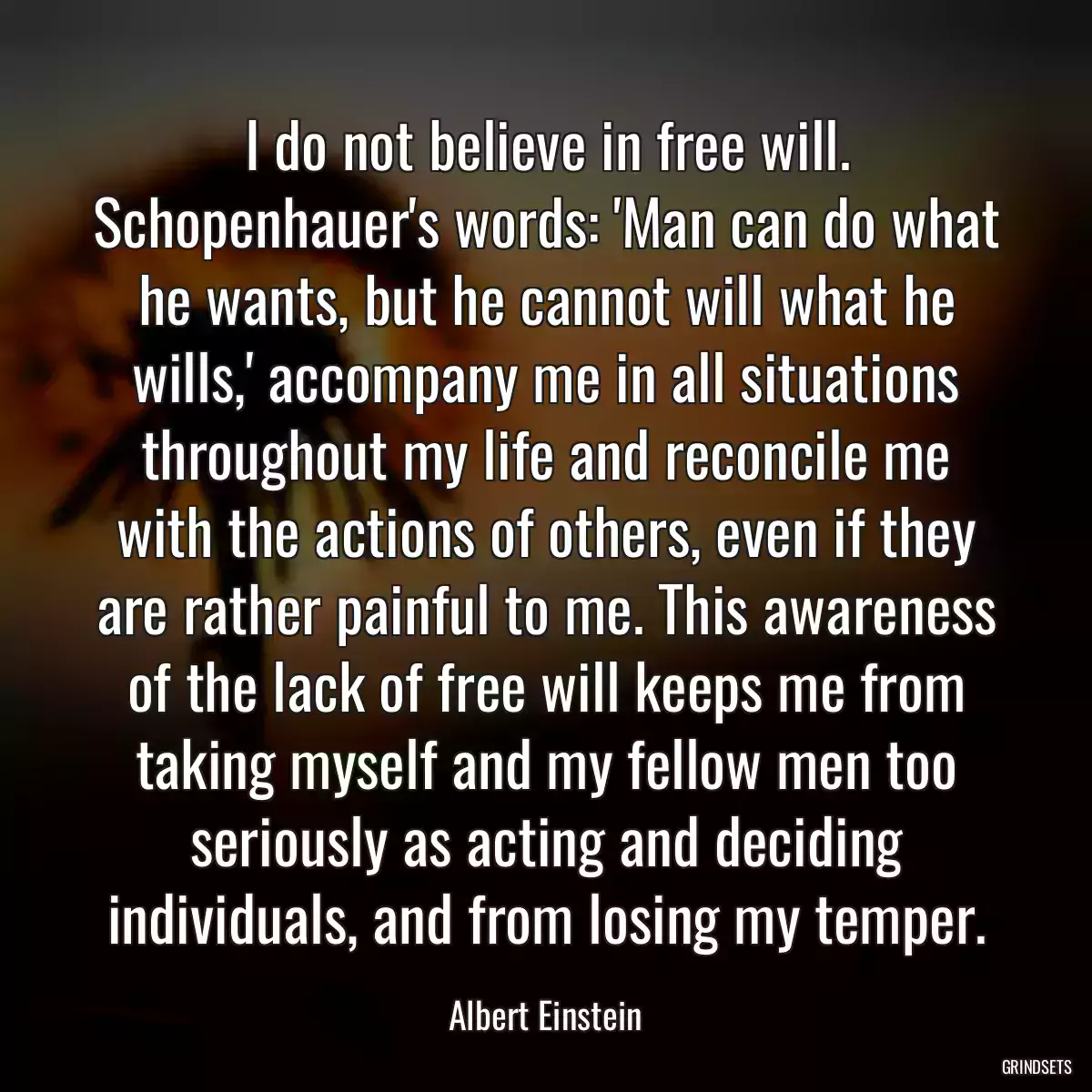 I do not believe in free will. Schopenhauer\'s words: \'Man can do what he wants, but he cannot will what he wills,\' accompany me in all situations throughout my life and reconcile me with the actions of others, even if they are rather painful to me. This awareness of the lack of free will keeps me from taking myself and my fellow men too seriously as acting and deciding individuals, and from losing my temper.