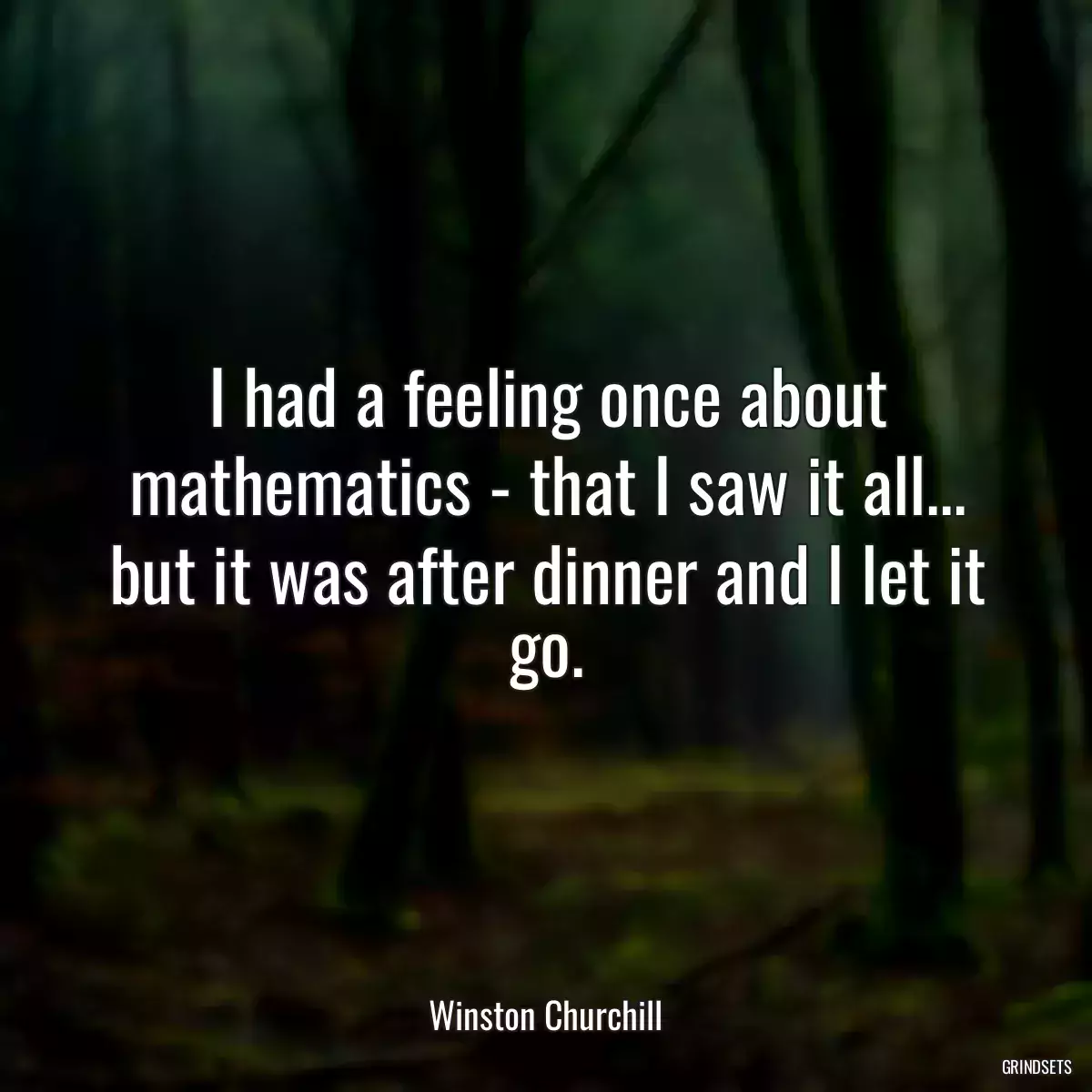 I had a feeling once about mathematics - that I saw it all... but it was after dinner and I let it go.