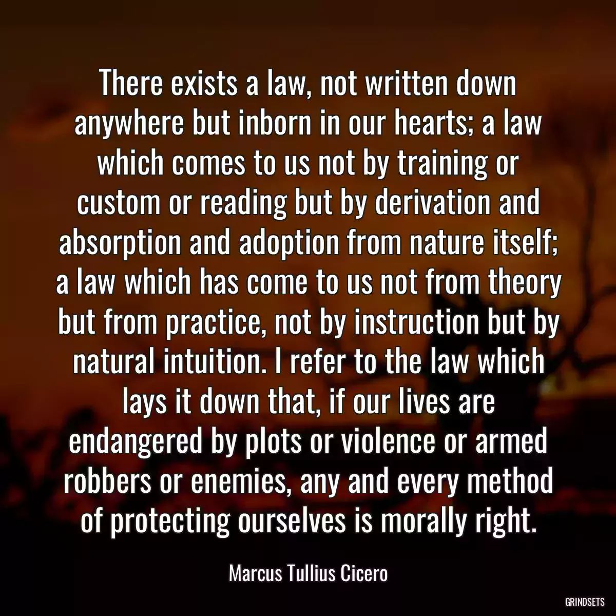 There exists a law, not written down anywhere but inborn in our hearts; a law which comes to us not by training or custom or reading but by derivation and absorption and adoption from nature itself; a law which has come to us not from theory but from practice, not by instruction but by natural intuition. I refer to the law which lays it down that, if our lives are endangered by plots or violence or armed robbers or enemies, any and every method of protecting ourselves is morally right.